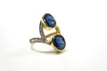 Ring-9 new